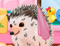 play Cute Hedgehog Care