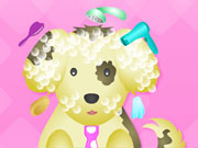 play Royal Pets Grooming