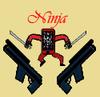 play Kill The Ninja Iphone!