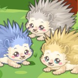 play Hedgehog Care