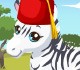 play Zebra Care