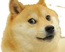 play Doge'S Wrath