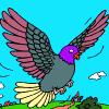 play Cute Pigeon Coloring