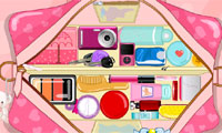 play Clean Up My Purse