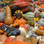 play Hidden Objects-Pumpkin Show