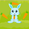 play Bunny Crazy Time
