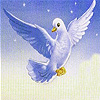 play Flying White Seagull Slide Puzzle