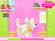 play Royal Pets Grooming