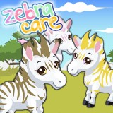 play Zebra Care
