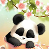 play Sleepy Panda