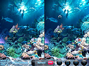 play Marine Predators