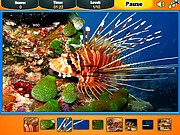 play Ocean Pieces