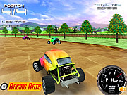 play Rally Bugs