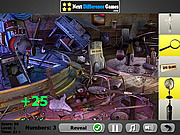 play Black Crow Hidden Objects