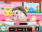 play Cute Hedgehog Care