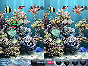 play Sea Bubbles 5 Differences