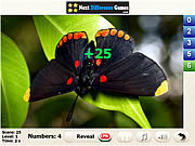 play Streamlet Find Numbers