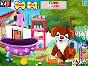 play Cute Puppy Care