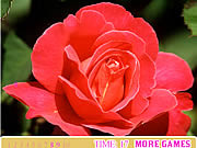 play Red Rose Hidden