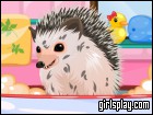 play Cute Hedgehog Care