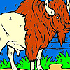 play Big Bison On The Farm Coloring