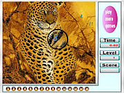 play Fabulous Tigers Hidden Numbers