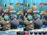 play Colored Bubbles