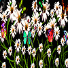 play Colorful Daisy Garden Puzzle