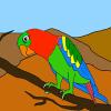 play Sweet Parrot Coloring