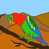 play Sweet Parrot Coloring