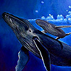 play Whale Family In The Ocean Puzzle