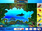 play River Sand. Find Objects