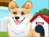 play Corgi Care