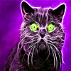 play Black Scaredy Cat Slide Puzzle