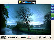 play Wild Daisies Find Numbers