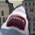 play New York Shark