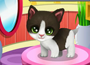 play Paws To Beauty 3: Puppies & Kittens