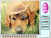 play Melancholic Dogs Hidden Numbers