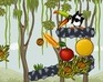 play Toucan In The Jungle