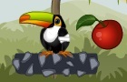 play Toucan In The Jungle