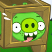 play Bad Piggies 3