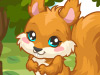play Squirrel Care