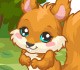 play Squirrel Care