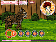 play Cute Kitten