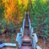 play Roche-A-Cri State Park Jigsaw