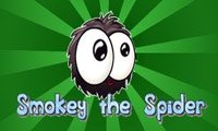 play Smokey The Spider