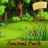 play Central Park 5 Differences
