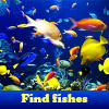 Find Fishes. Find Objects