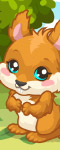 play Squirrel Care