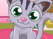 play Kitty Care Kissing